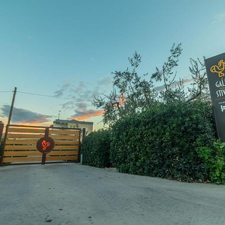 Il Gallo Con Gli Stivali Termoli Exteriér fotografie