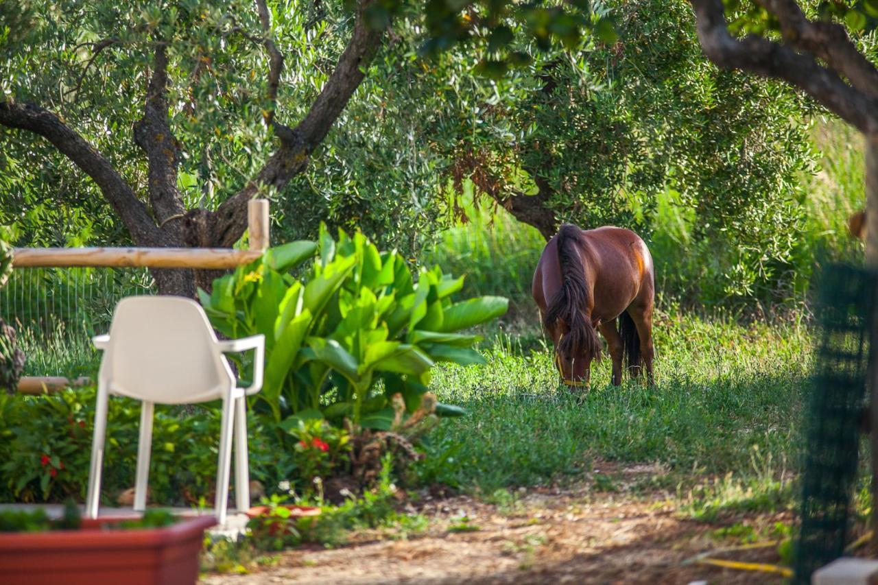 Il Gallo Con Gli Stivali Termoli Exteriér fotografie