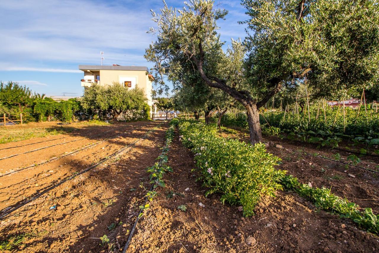 Il Gallo Con Gli Stivali Termoli Exteriér fotografie