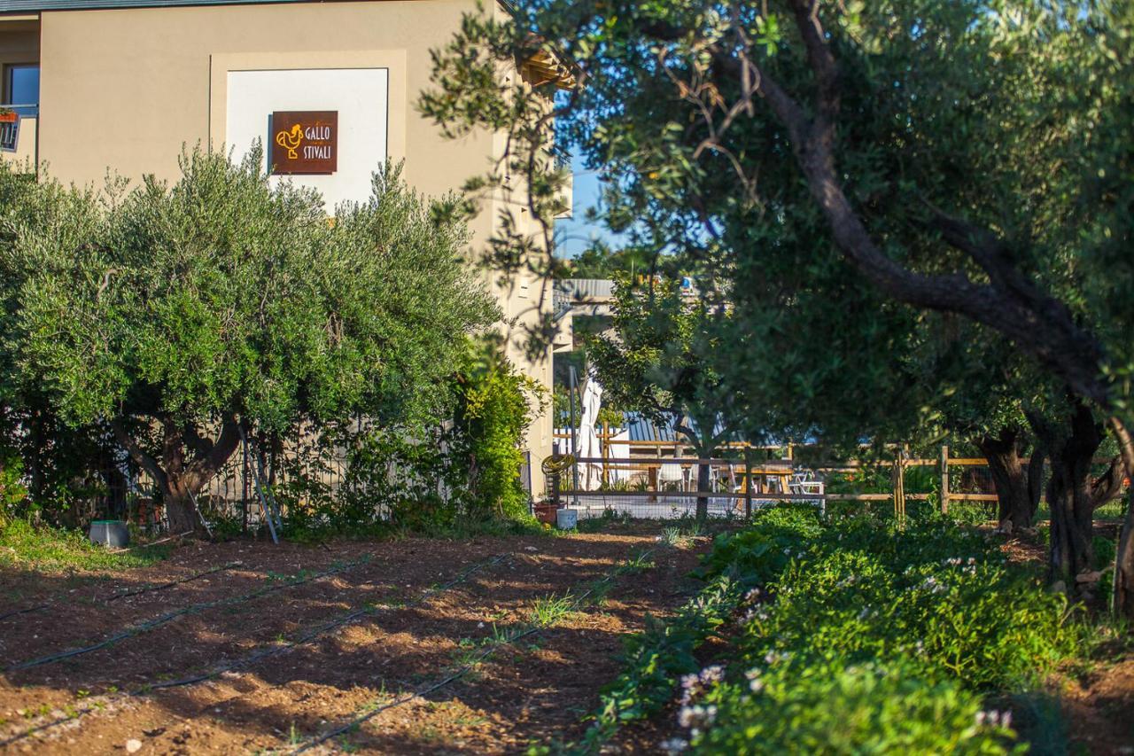 Il Gallo Con Gli Stivali Termoli Exteriér fotografie
